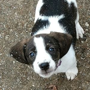 Meet your Posher, Mary